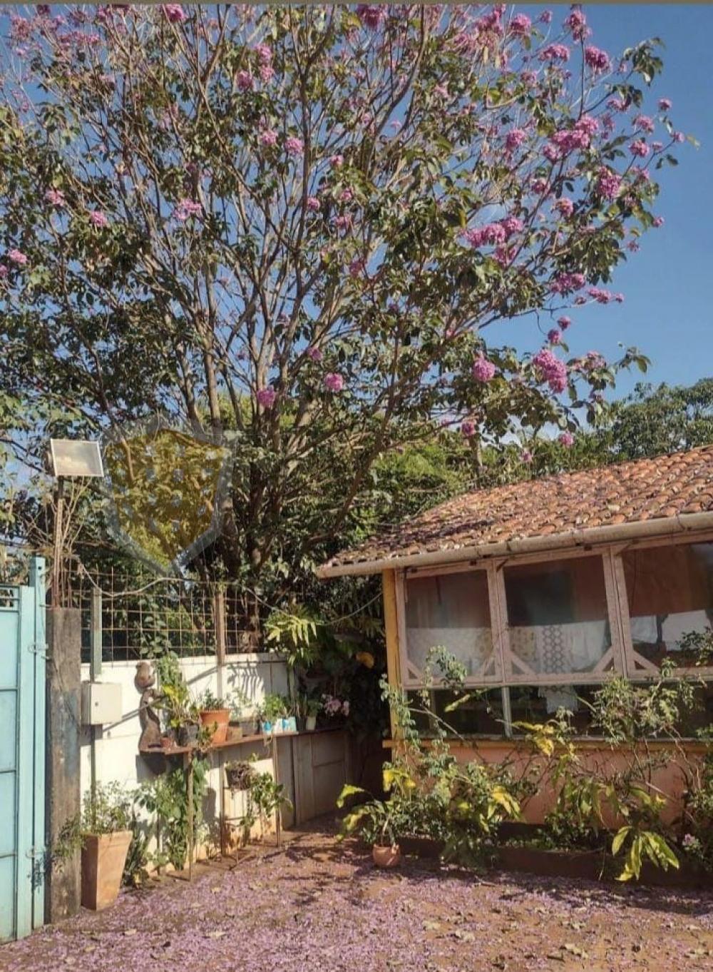 Comprar Rural / Chácara em Jardinópolis R$ 330.000,00 - Foto 15