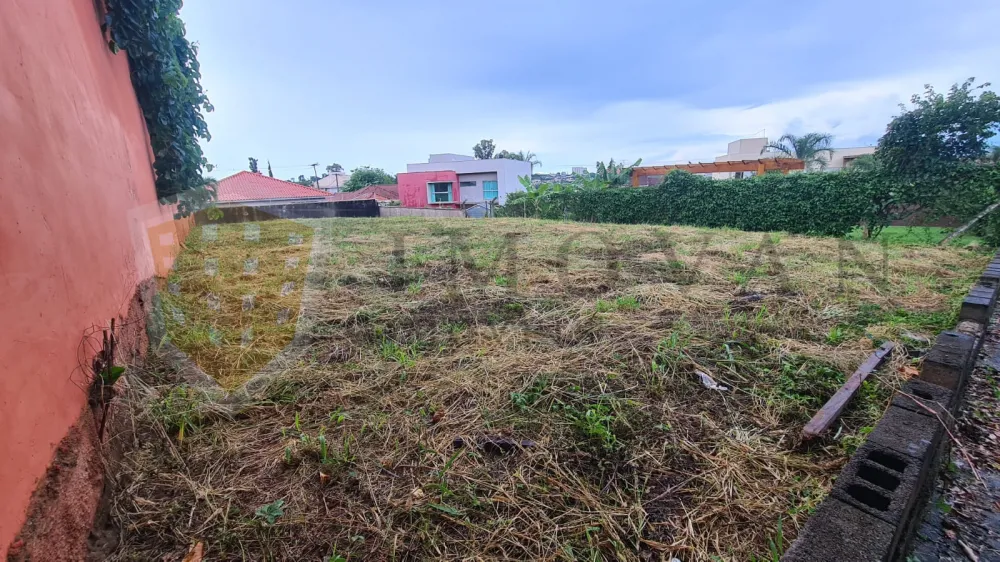 Comprar Terreno / Padrão em Ribeirão Preto R$ 400.000,00 - Foto 1