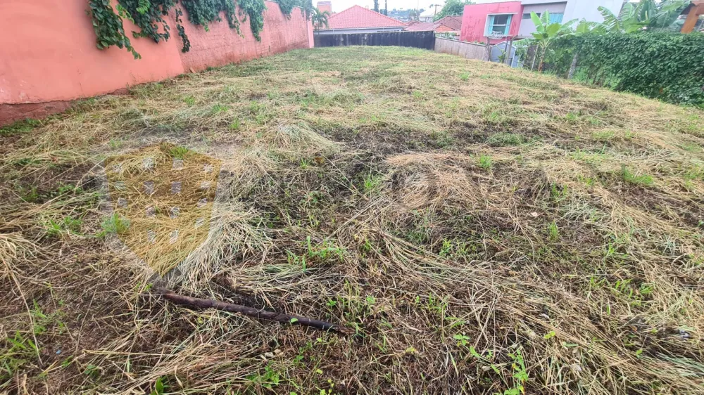 Comprar Terreno / Padrão em Ribeirão Preto R$ 400.000,00 - Foto 3