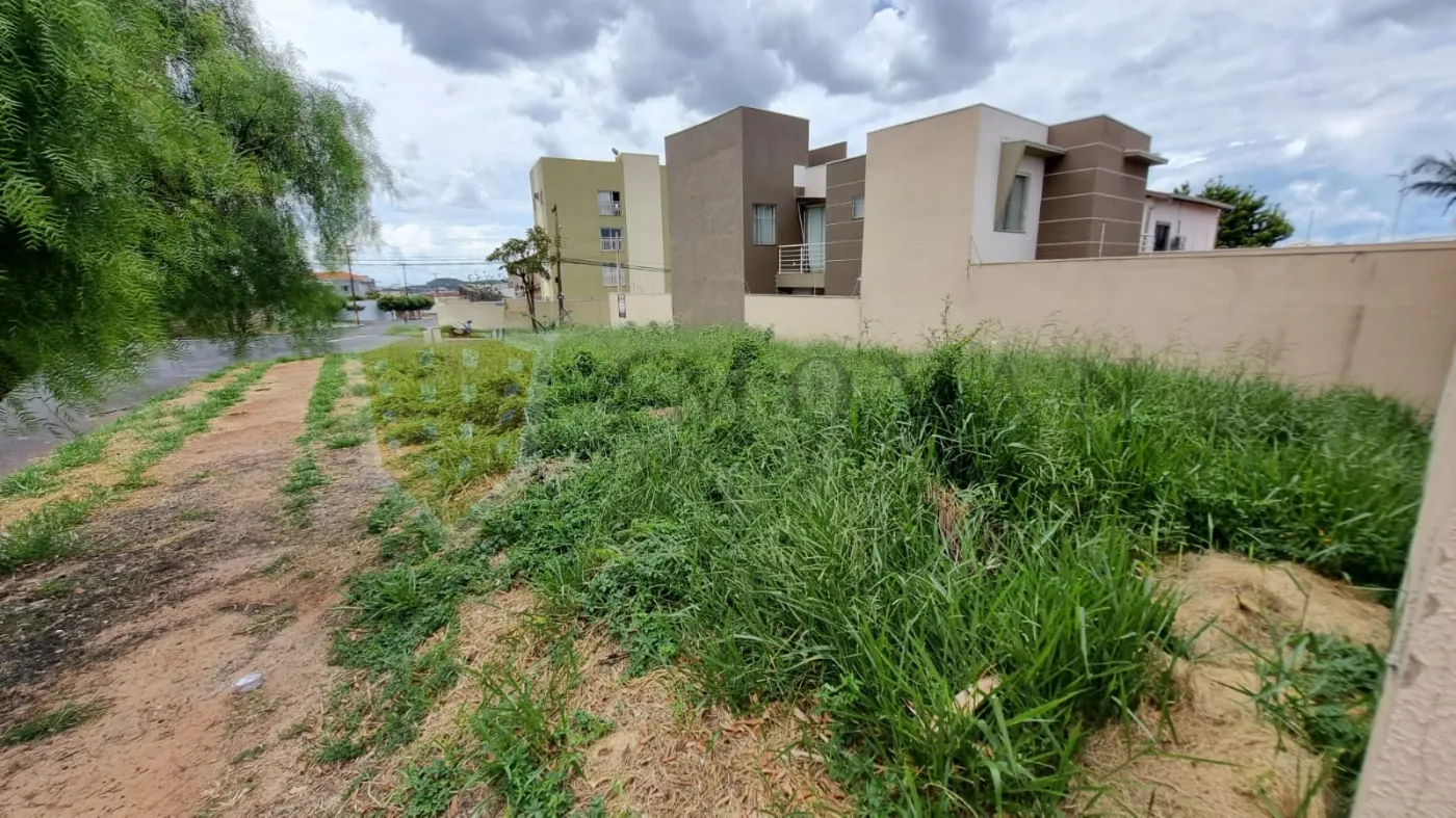 Comprar Terreno / Padrão em Ribeirão Preto R$ 245.000,00 - Foto 2