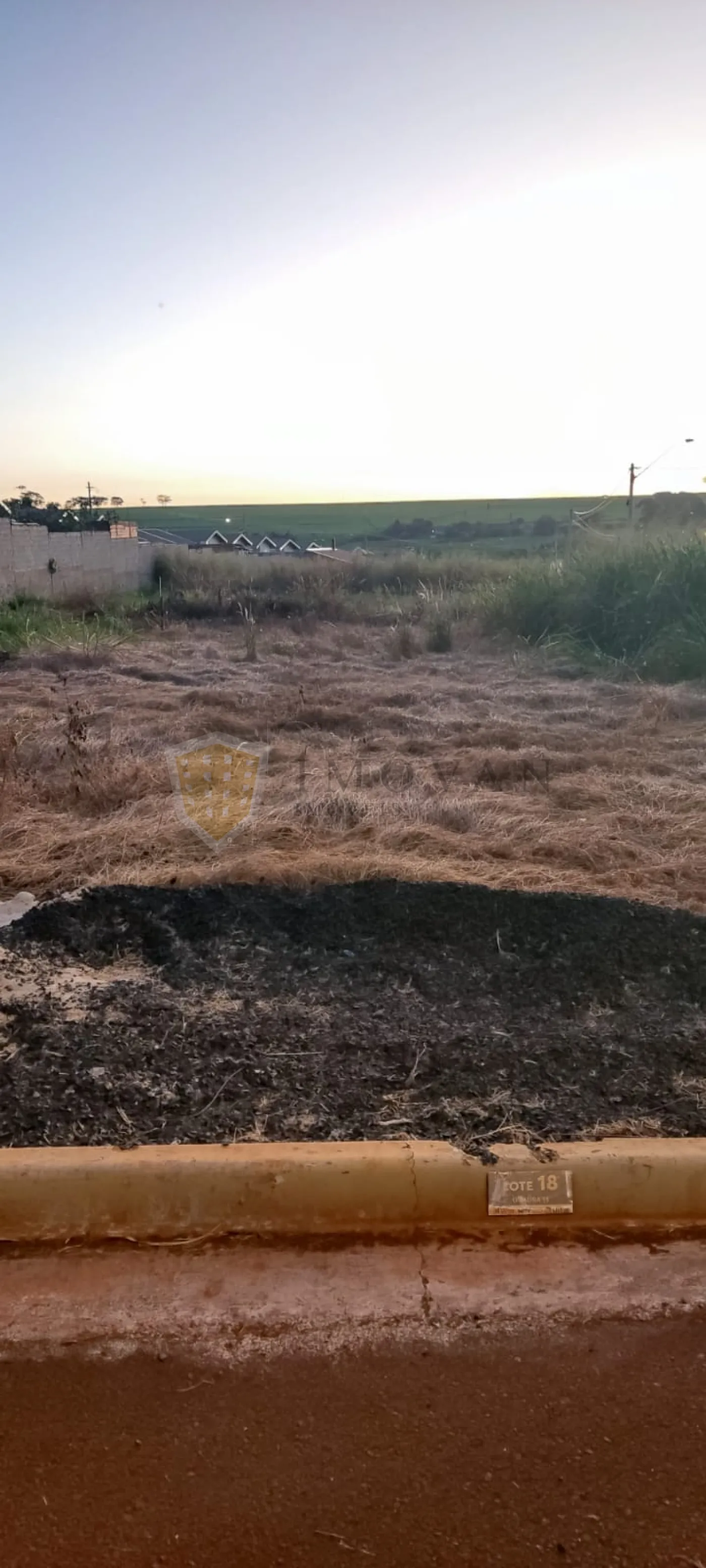 Comprar Terreno / Padrão em Ribeirão Preto R$ 199.000,00 - Foto 2