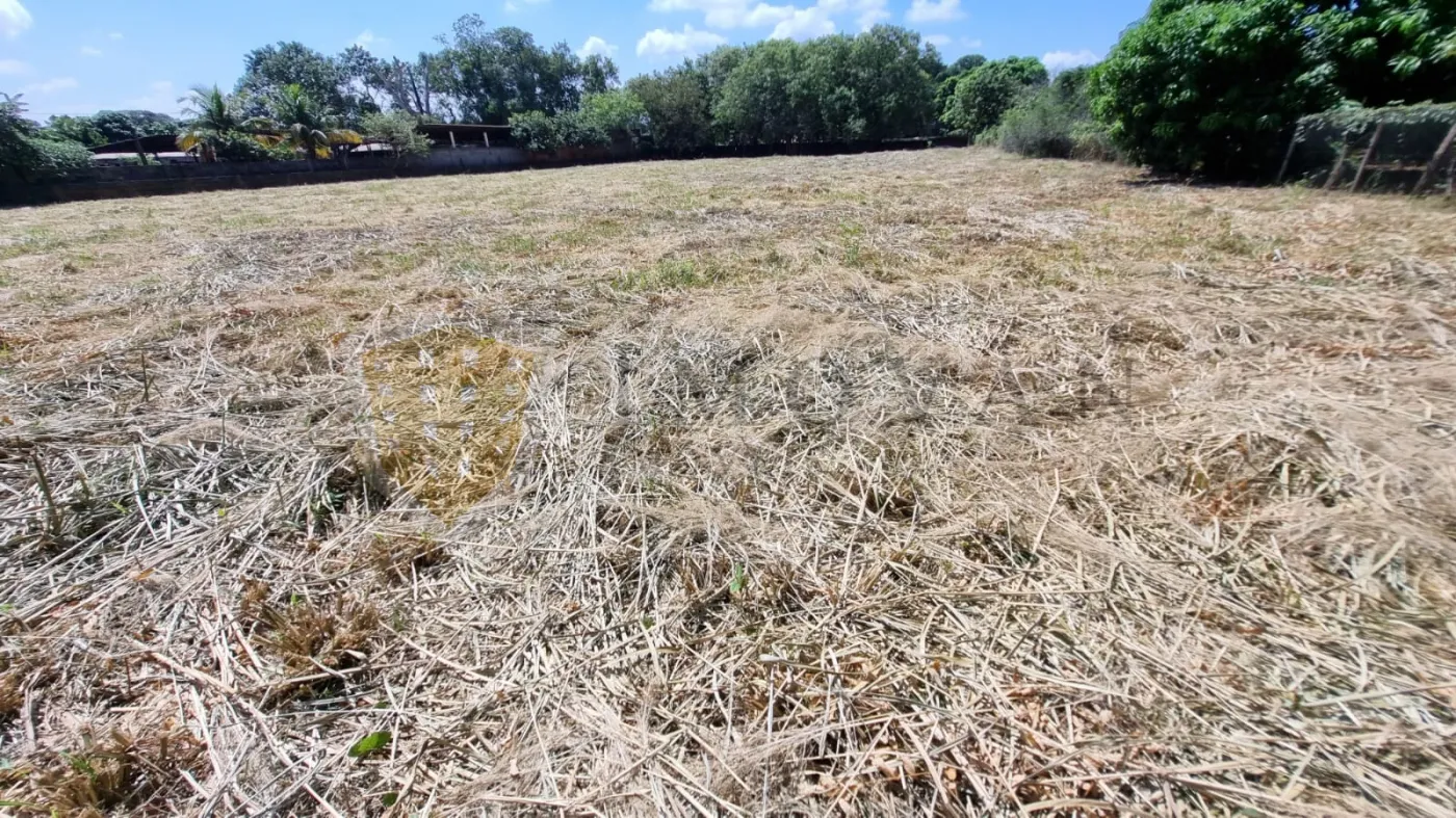 Comprar Terreno / Área em Ribeirão Preto R$ 3.650.000,00 - Foto 3