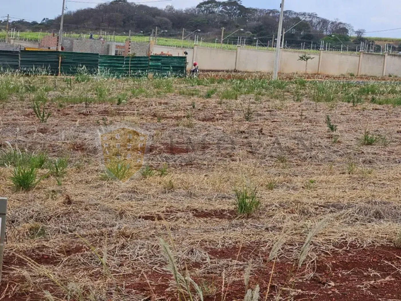 Comprar Terreno / Condomínio em Ribeirão Preto R$ 240.000,00 - Foto 2