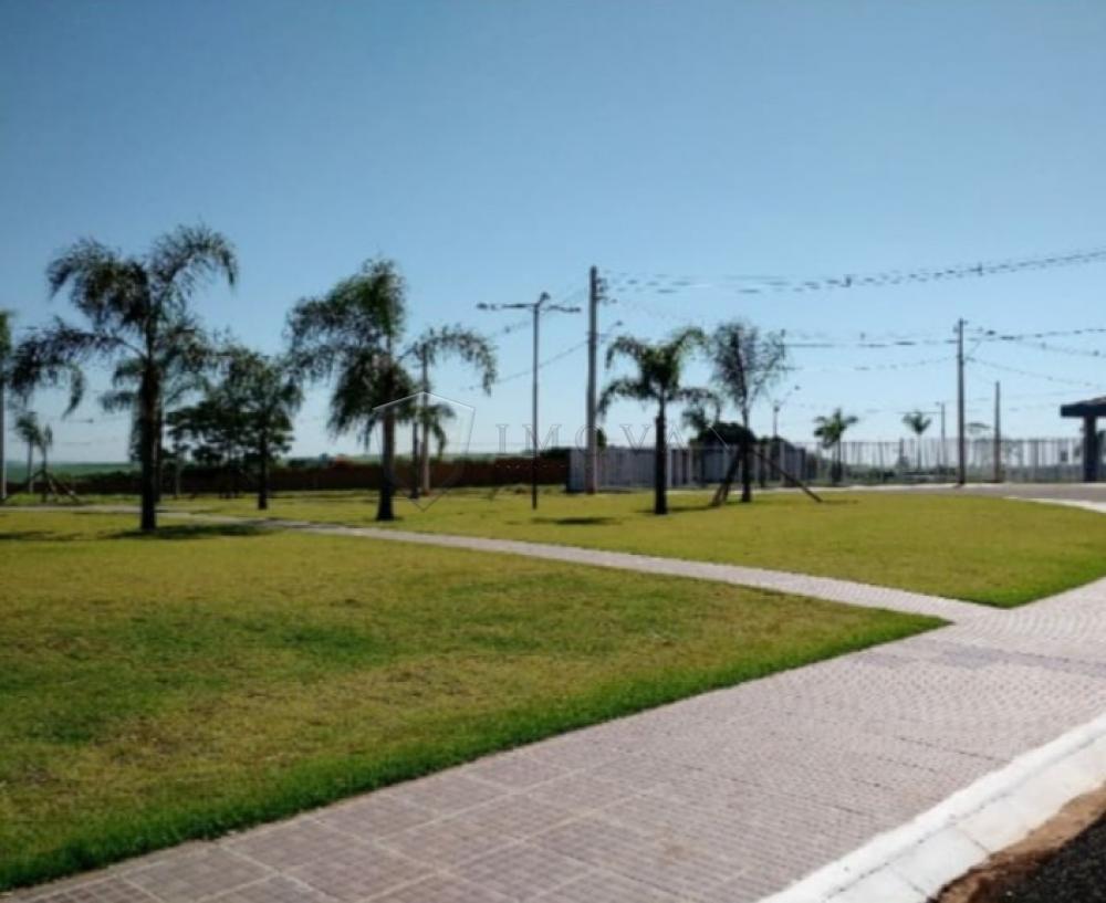 Brodowski Parque Residencial Veneza Terreno Venda R$159.000,00 Condominio R$250,00  Area do terreno 300.00m2 