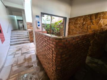 imagem 2 - Apartamento térreo com quintal imagem 2 - Apartamento térreo com quintal