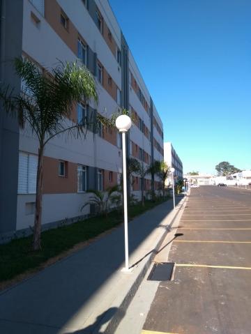 Apartamento / Padrão em Ribeirão Preto Alugar por R$850,00