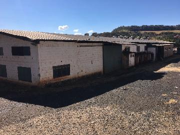 Comprar Comercial / Galpão em São Simão R$ 1.200.000,00 - Foto 1