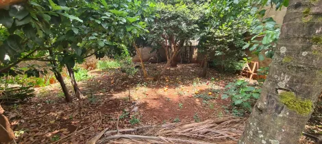 imagem 2 - Terreno - Padrão imagem 2 - Terreno - Padrão