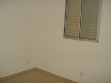 Alugar Apartamento / Padrão em Ribeirão Preto R$ 700,00 - Foto 9