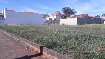 Comprar Terreno / Padrão em Ribeirão Preto R$ 390.000,00 - Foto 3
