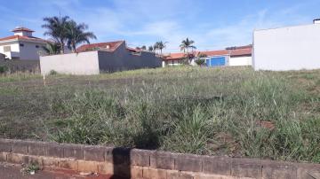 imagem 1 - Terreno - Padrão imagem 1 - Terreno - Padrão
