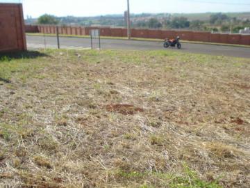 imagem 3 - Terreno - Padrão imagem 3 - Terreno - Padrão