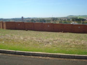 imagem 1 - Terreno - Padrão imagem 1 - Terreno - Padrão