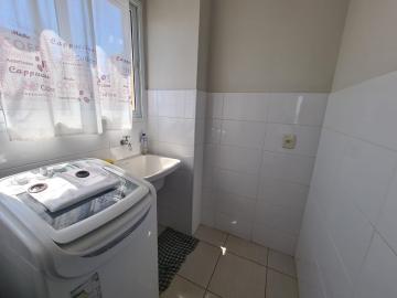 Alugar Apartamento / Padrão em Ribeirão Preto R$ 1.590,00 - Foto 3