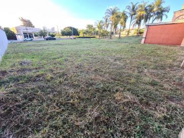 Comprar Terreno / Padrão em Ribeirão Preto R$ 1.000.000,00 - Foto 5