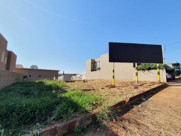 Alugar Terreno / Padrão em Ribeirão Preto R$ 2.800,00 - Foto 5