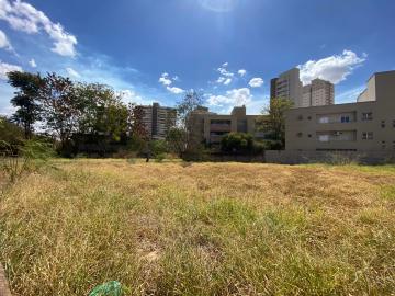 imagem 2 - Terreno - Padrão imagem 2 - Terreno - Padrão