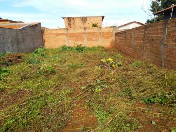 imagem 1 - Terreno - Padrão imagem 1 - Terreno - Padrão