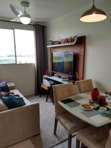imagem 3 - Apartamento - Padrão imagem 3 - Apartamento - Padrão