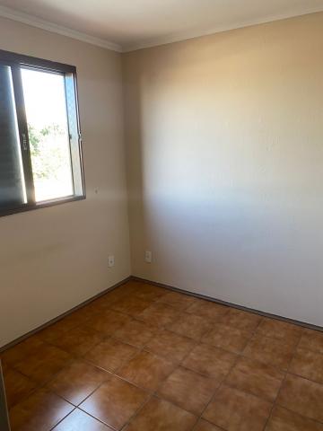 imagem 4 - Apartamento - Padrão imagem 4 - Apartamento - Padrão