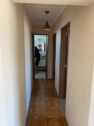 imagem 5 - Apartamento - Padrão imagem 5 - Apartamento - Padrão
