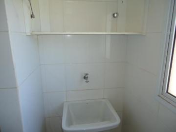 imagem 5 - Apartamento - Padrão imagem 5 - Apartamento - Padrão