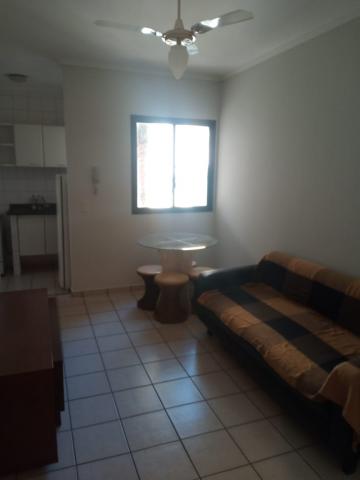 imagem 4 - Apartamento - Padrão imagem 4 - Apartamento - Padrão