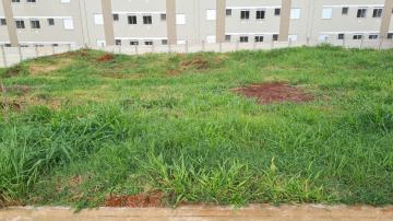 imagem 2 - Terreno - Padrão imagem 2 - Terreno - Padrão