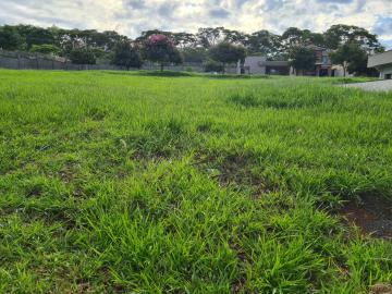 Terreno / Padrão em Ribeirão Preto 