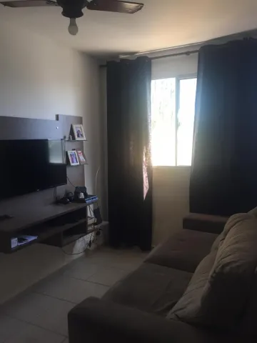 imagem 5 - Apartamento com 2 dormitórios no Pq São Sebastião imagem 5 - Apartamento com 2 dormitórios no Pq São Sebastião