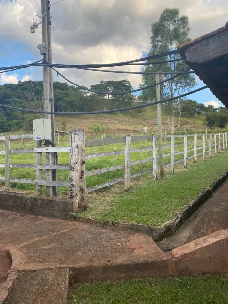 Comprar Rural / Sítio em São Simão R$ 2.000.000,00 - Foto 18