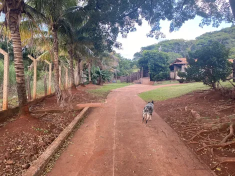 imagem 1 - Rural - Sítio imagem 1 - Rural - Sítio