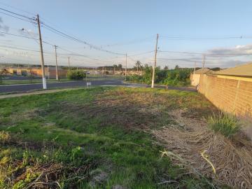 Comprar Terreno / Padrão em Ribeirão Preto R$ 230.000,00 - Foto 3