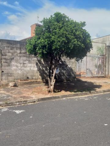 imagem 2 - Terreno - Padrão imagem 2 - Terreno - Padrão
