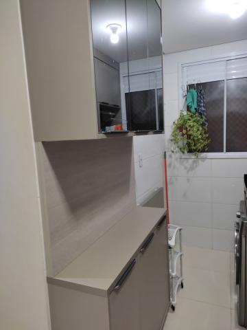 imagem 3 - Apartamento - Padrão imagem 3 - Apartamento - Padrão