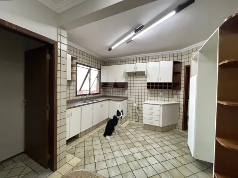 imagem 2 - Apartamento - Padrão imagem 2 - Apartamento - Padrão