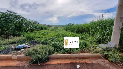 imagem 1 - Terreno - Padrão imagem 1 - Terreno - Padrão