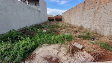 Comprar Terreno / Padrão em Ribeirão Preto R$ 120.000,00 - Foto 2