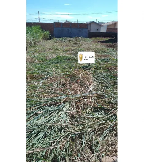 imagem 1 - Terreno - Padrão imagem 1 - Terreno - Padrão