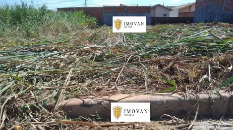 imagem 2 - Terreno - Padrão imagem 2 - Terreno - Padrão