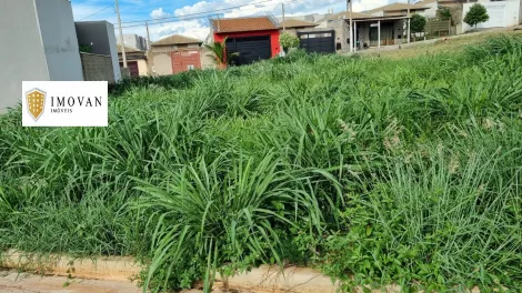 imagem 1 - Terreno - Padrão imagem 1 - Terreno - Padrão
