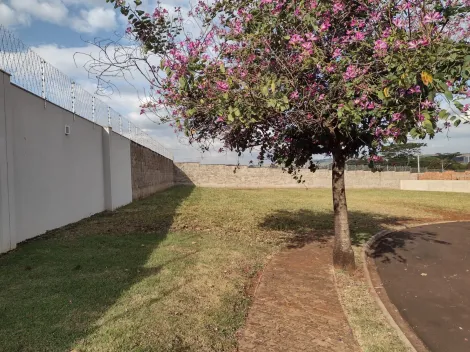 Comprar Terreno / Condomínio em Ribeirão Preto R$ 640.000,00 - Foto 3