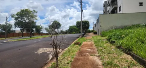 imagem 3 - Terreno - Padrão imagem 3 - Terreno - Padrão