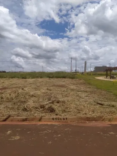 imagem 1 - Terreno - Padrão imagem 1 - Terreno - Padrão