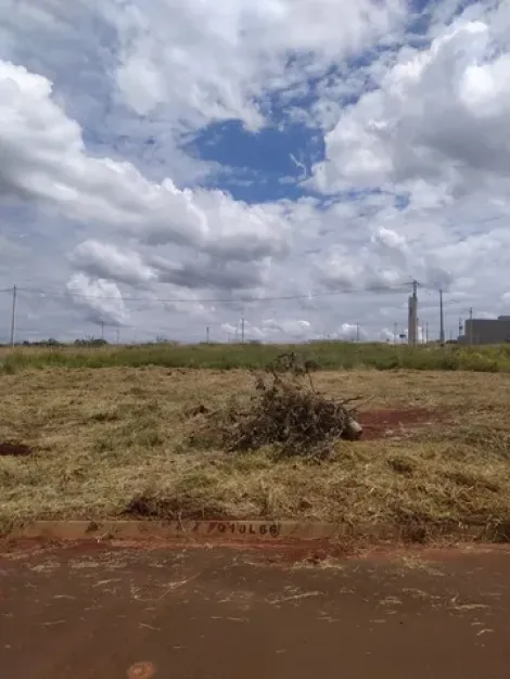 imagem 1 - Terreno - Padrão imagem 1 - Terreno - Padrão