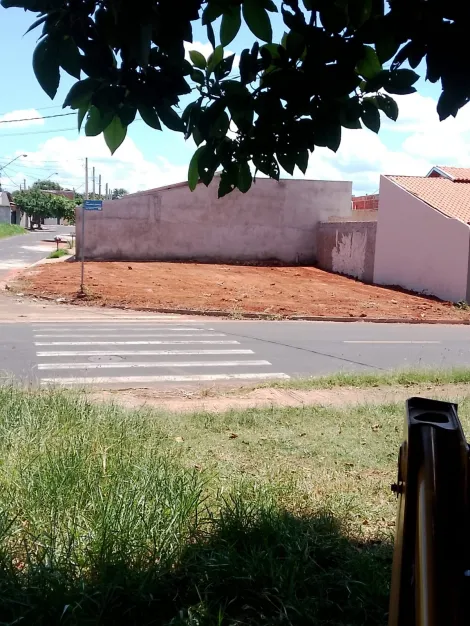 Terreno / Padrão em São José do Rio Preto 