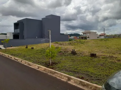 Comprar Terreno / Condomínio em Ribeirão Preto R$ 270.000,00 - Foto 2