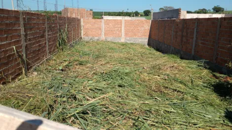 imagem 1 - Terreno - Padrão imagem 1 - Terreno - Padrão