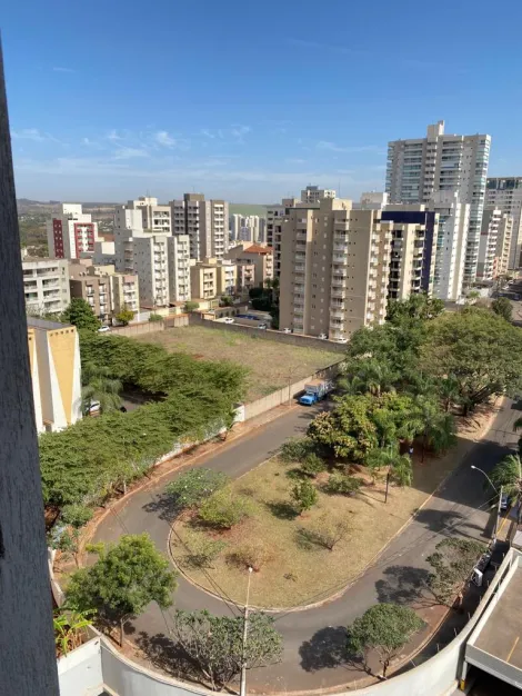 Ribeirão Preto - Nova Aliança - Apartamento - Kitchnet - Locaçao