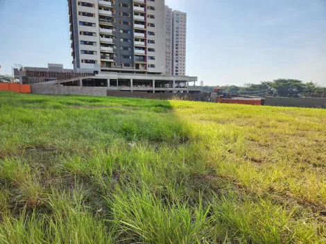 imagem 2 - Terreno - Padrão imagem 2 - Terreno - Padrão